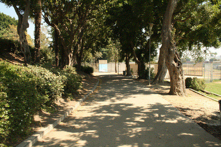 Enlarge photo 6