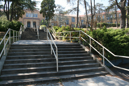 Enlarge photo 141