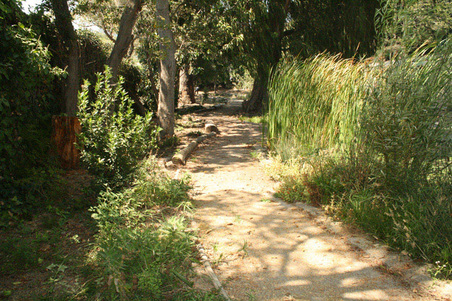 Enlarge photo 151