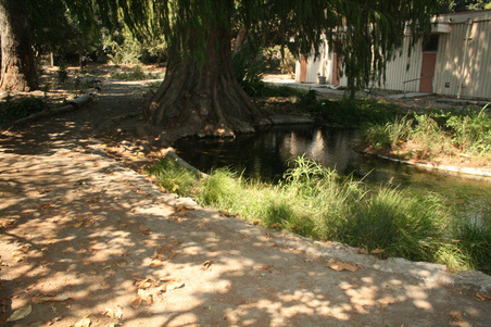 Enlarge photo 153