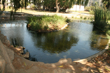 Enlarge photo 154
