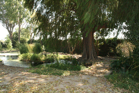Enlarge photo 155
