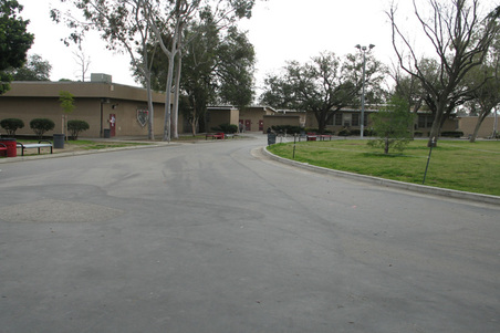 Enlarge photo 20