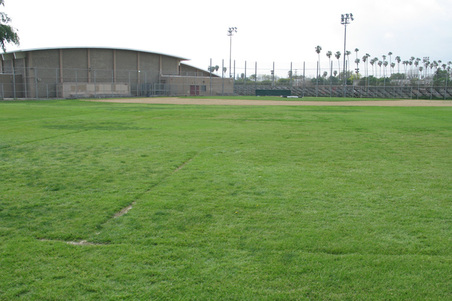Enlarge photo 26