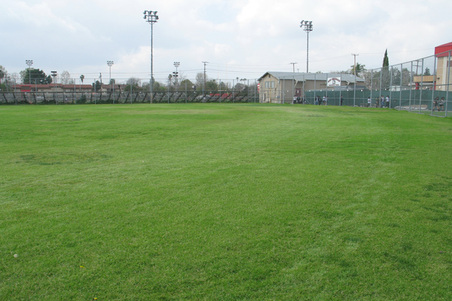 Enlarge photo 27