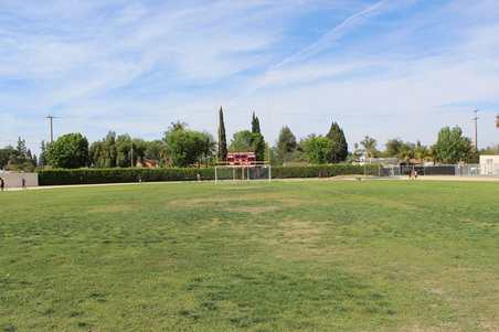 Enlarge photo 51