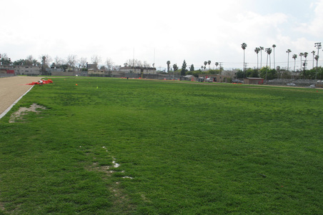 Enlarge photo 71