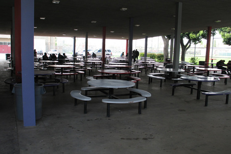 Enlarge photo 87