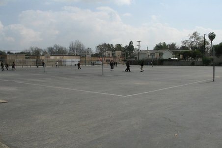 Enlarge photo 134