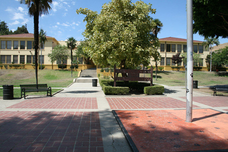 Enlarge photo 11