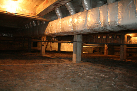 Enlarge photo 52