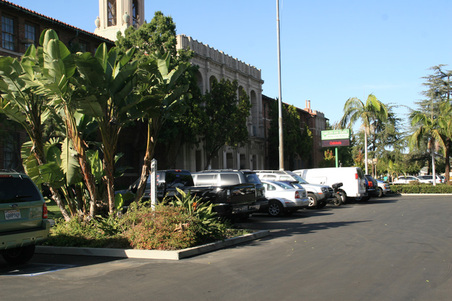Enlarge photo 31