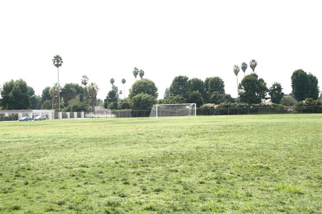 Enlarge photo 75