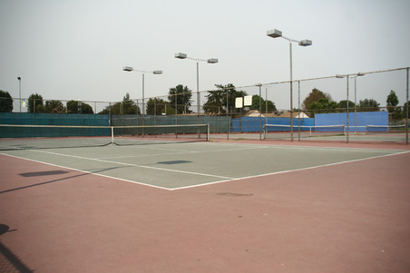 Enlarge photo 78