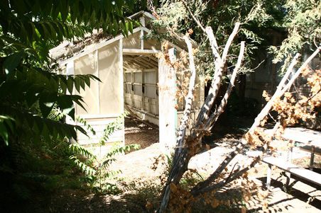 Enlarge photo 53