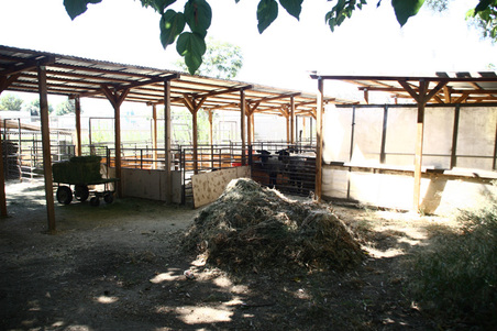 Enlarge photo 54