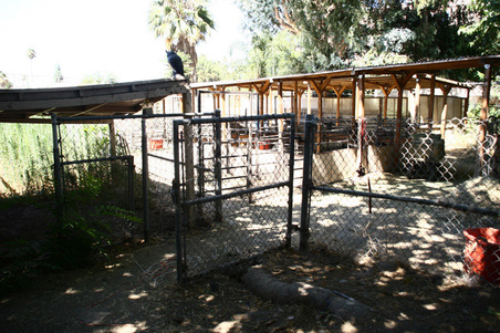 Enlarge photo 55