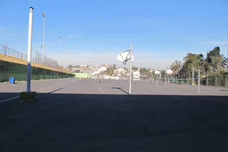 Enlarge photo 61