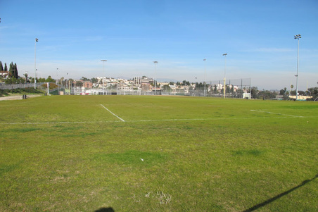 Enlarge photo 65