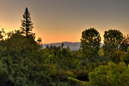 Enlarge photo 34
