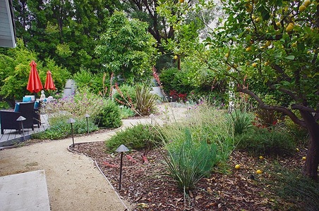 Enlarge photo 64
