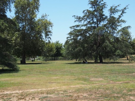 Enlarge photo 16
