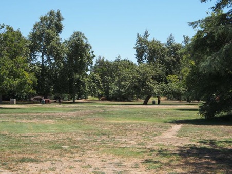 Enlarge photo 17