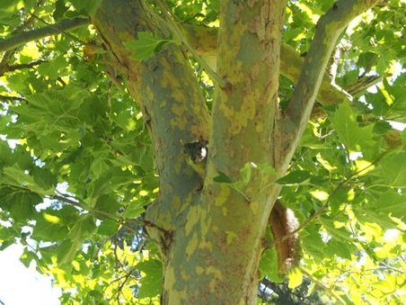 Enlarge photo 6
