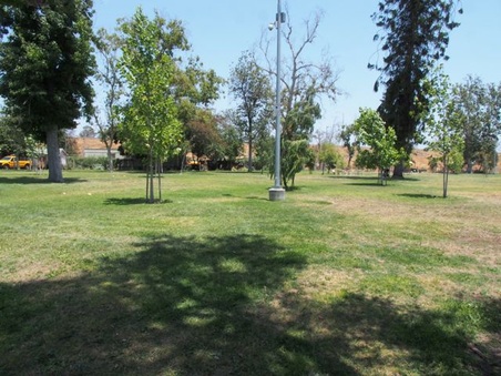 Enlarge photo 3