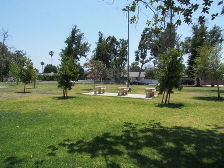 Enlarge photo 11