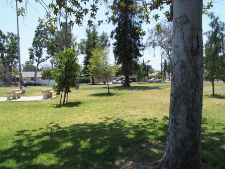 Enlarge photo 12
