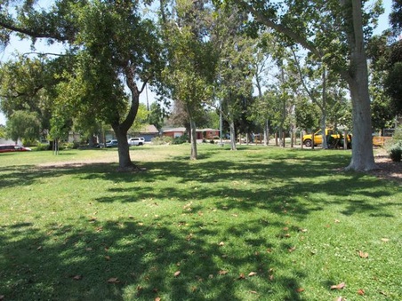 Enlarge photo 14