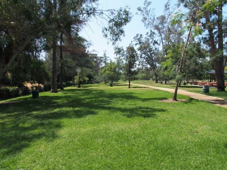 Enlarge photo 8
