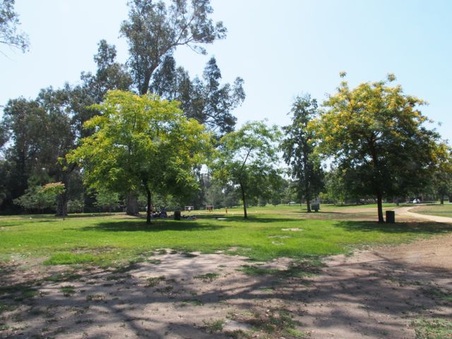 Enlarge photo 14