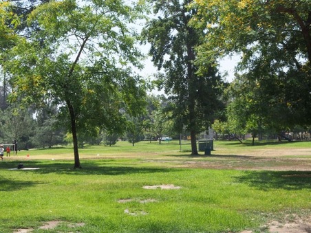 Enlarge photo 16