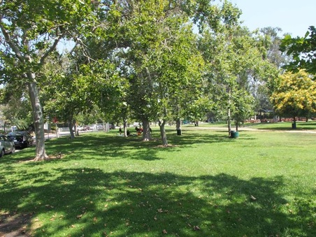 Enlarge photo 22