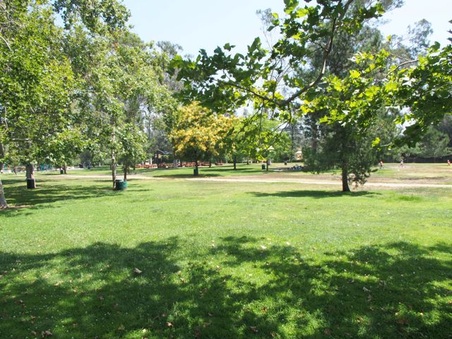 Enlarge photo 23