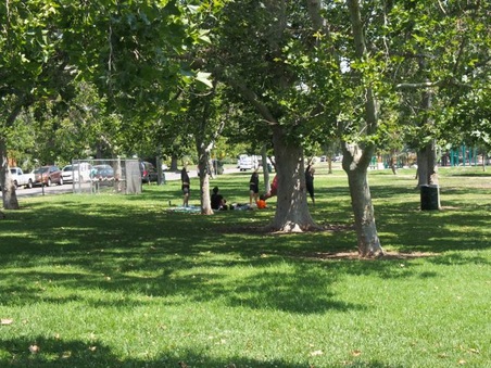 Enlarge photo 24