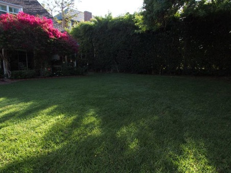 Enlarge photo 19