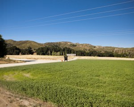 Disney Golden Oaks Ranch