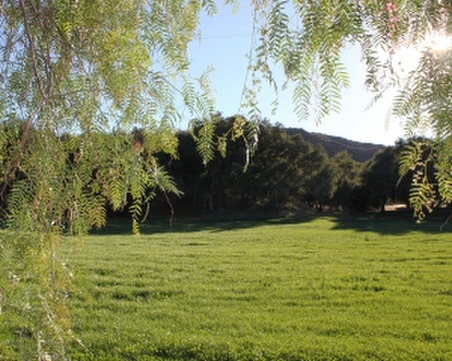 Enlarge photo 3