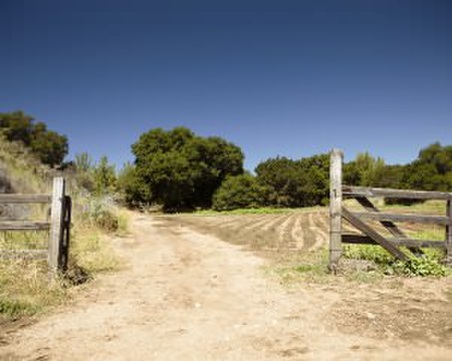 Enlarge photo 2