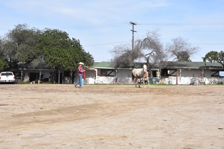 Enlarge photo 25
