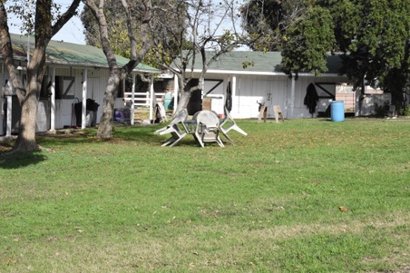 Enlarge photo 40