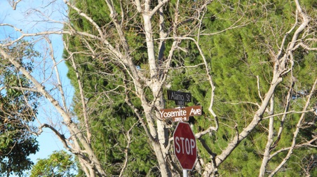 Yosemite Ave. Simi Valley