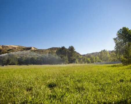 Big West Meadow