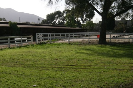 Enlarge photo 5