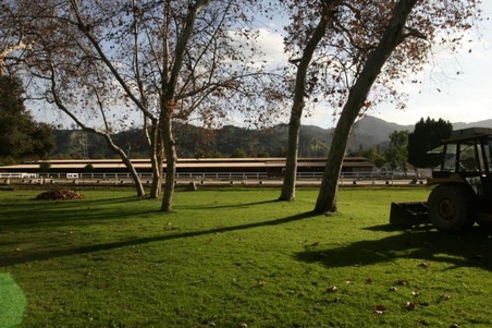 Enlarge photo 12