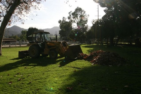 Enlarge photo 15