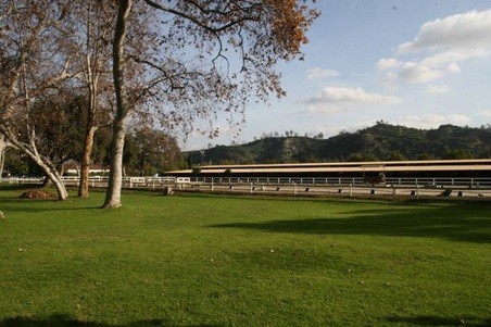 Enlarge photo 16